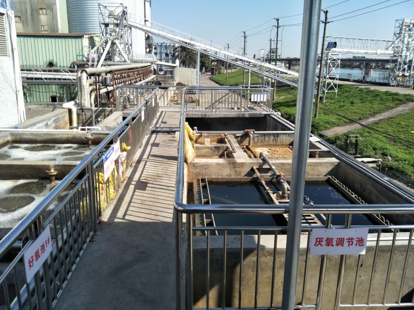 食品廢水植物處理技術(shù)，你知道嗎？